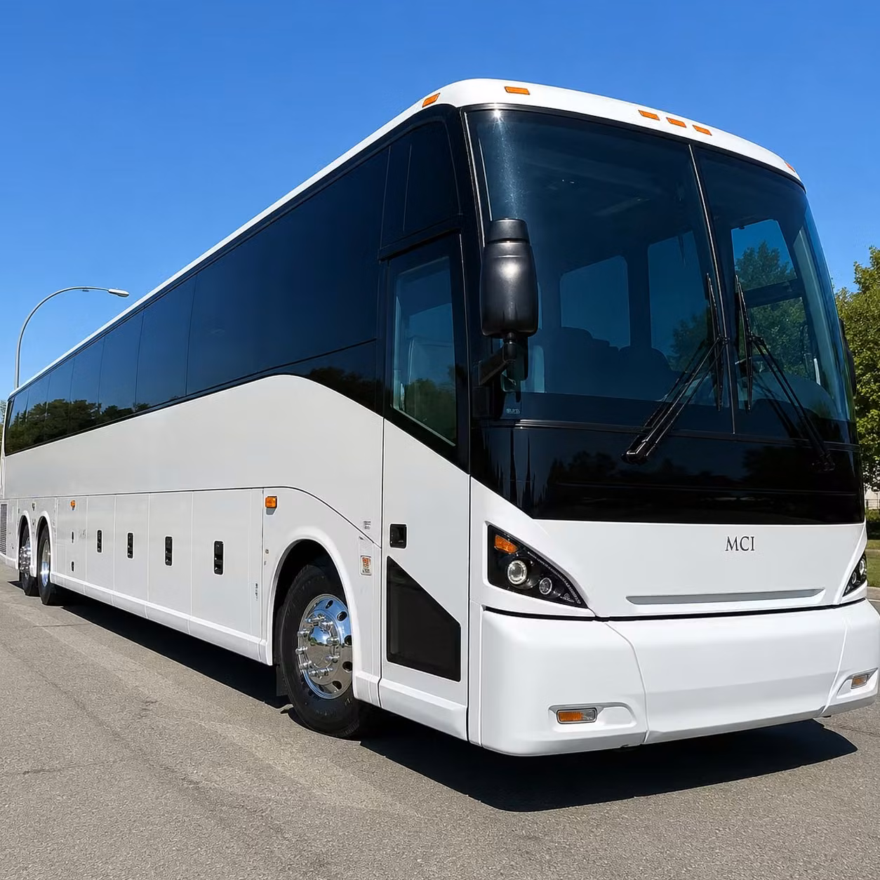 hollywood prom homecoming transportation services